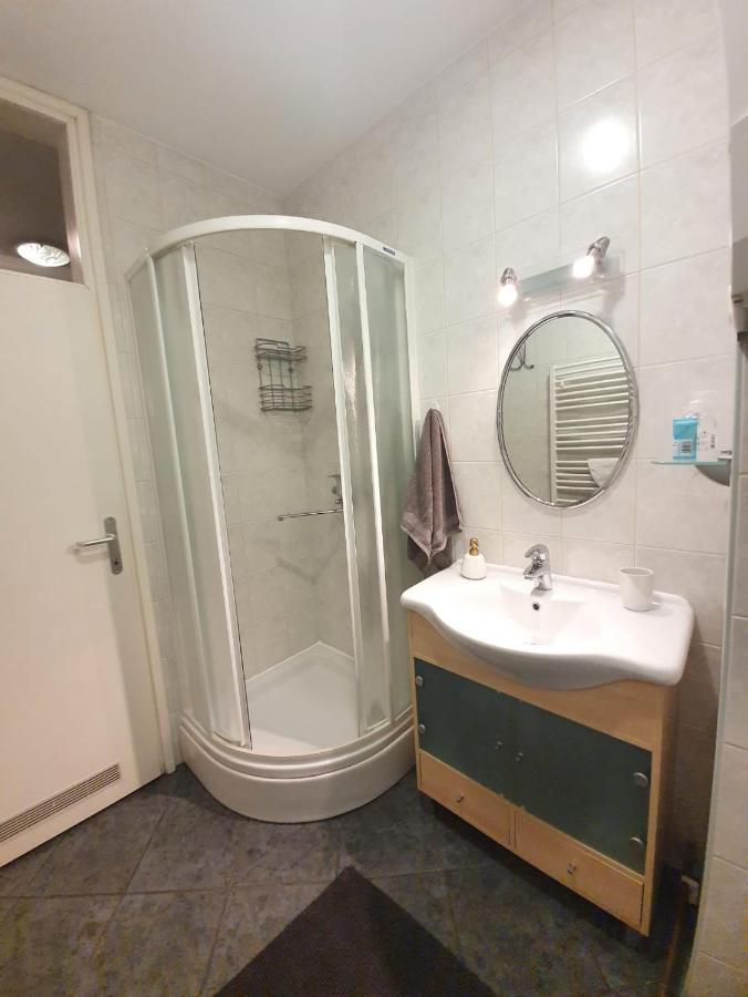 Apartment Lily Near Zagreb Airport Velika Gorica Eksteriør bilde